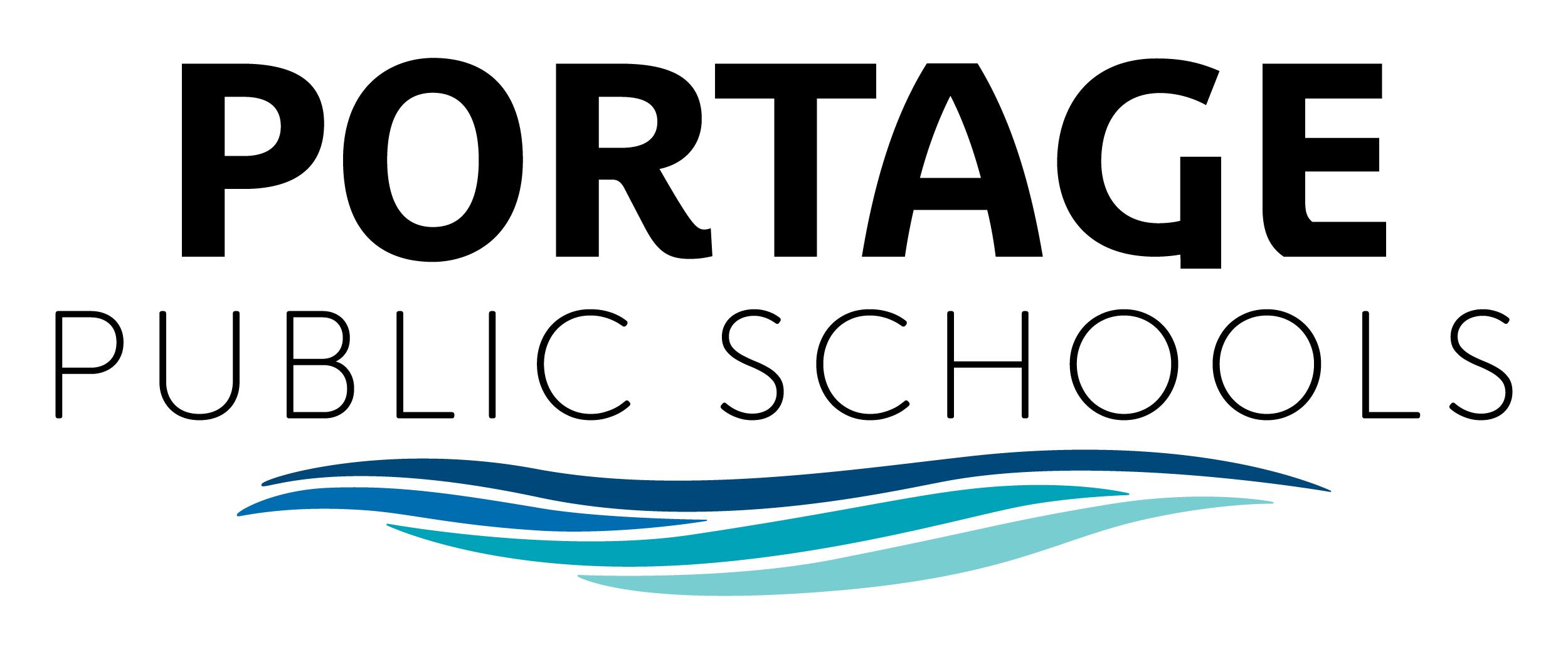 System Logo